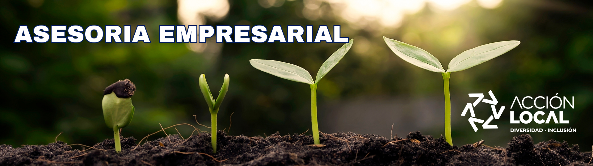 ASESORIA EMPRESARIAL 1